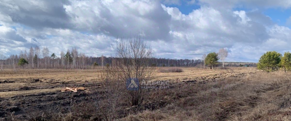 земля р-н Нижнетавдинский д Штакульская фото 1