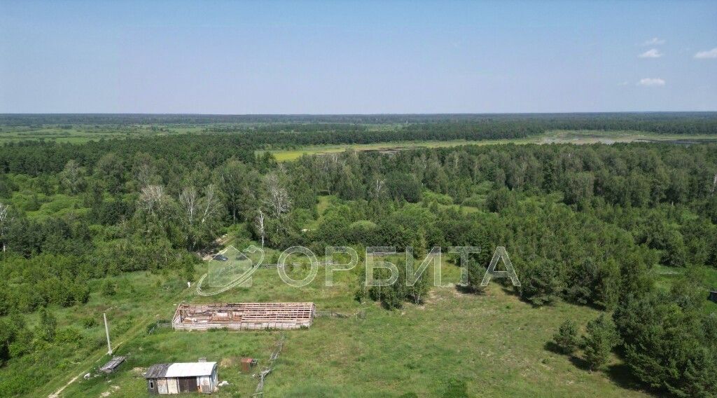 земля р-н Тюменский д Головина ул Озерная фото 1