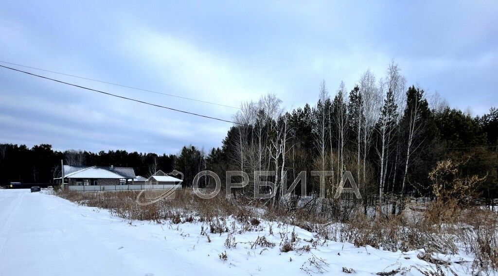 земля р-н Тюменский с Каменка ул Тюменская фото 2