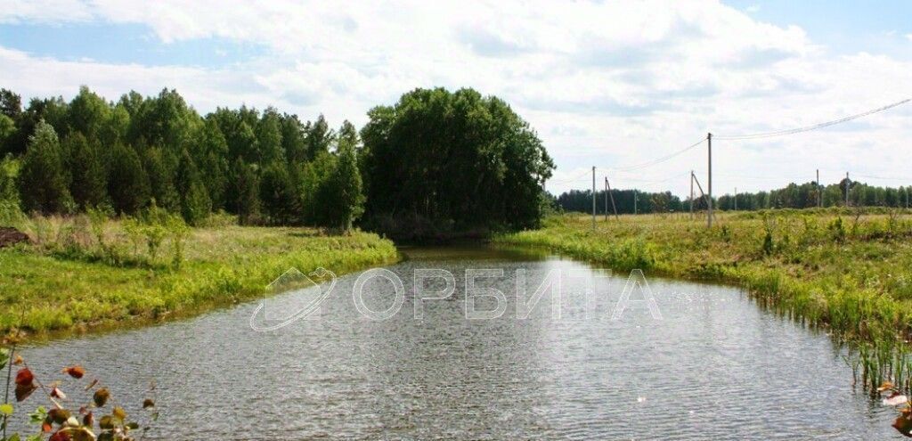 земля р-н Вагайский с Ушаково фото 2