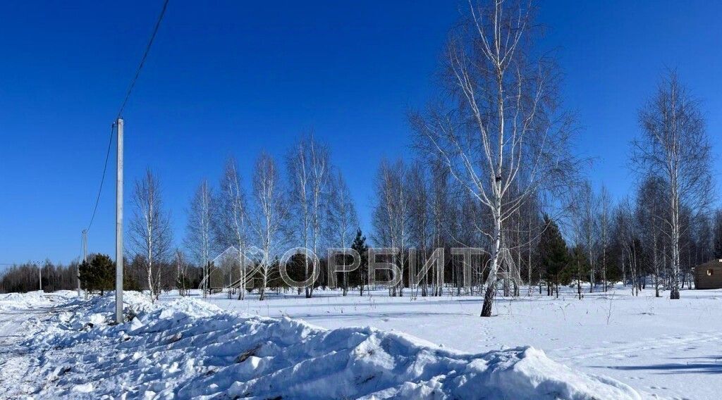 земля р-н Нижнетавдинский снт Геолог-2 ул Береговая фото 4