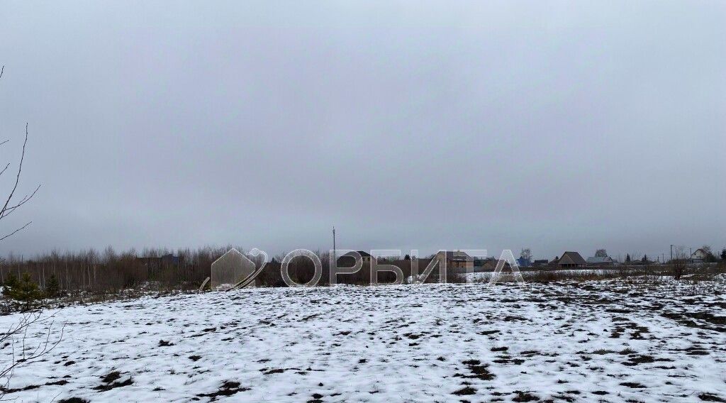 земля р-н Тюменский рп Боровский ул Октябрьская фото 2