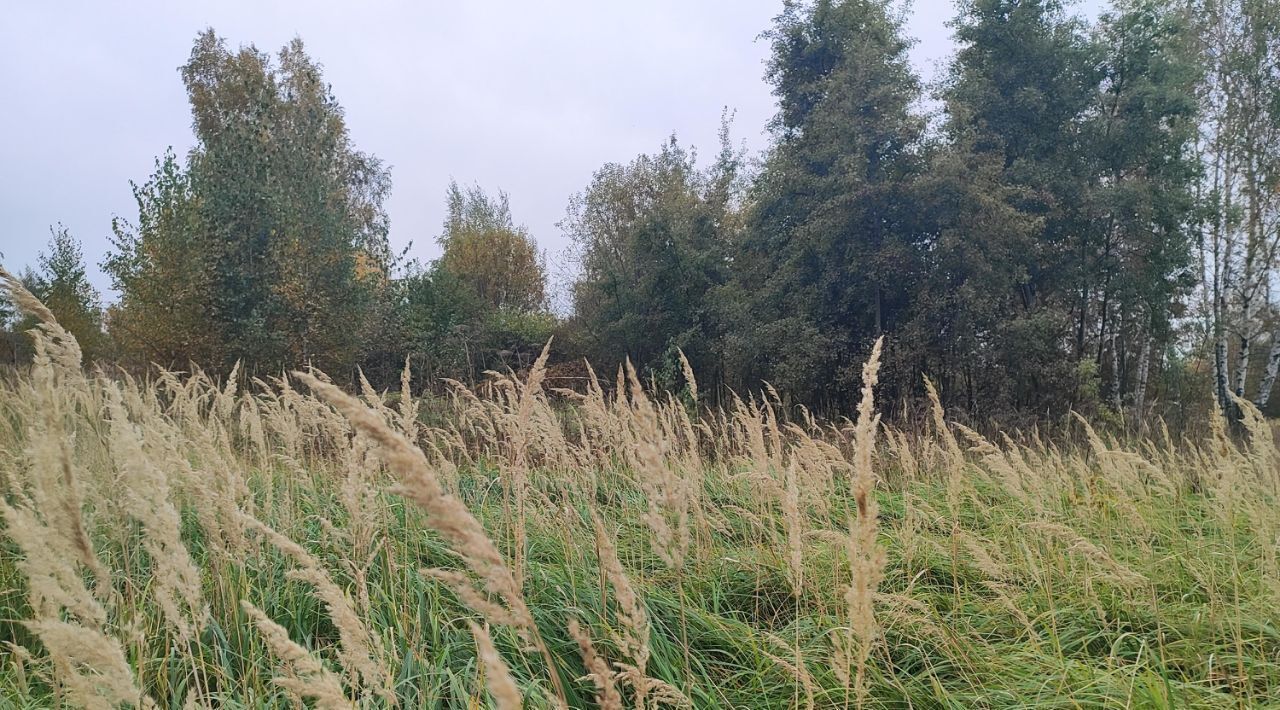 офис городской округ Раменский д Кулаково фото 1