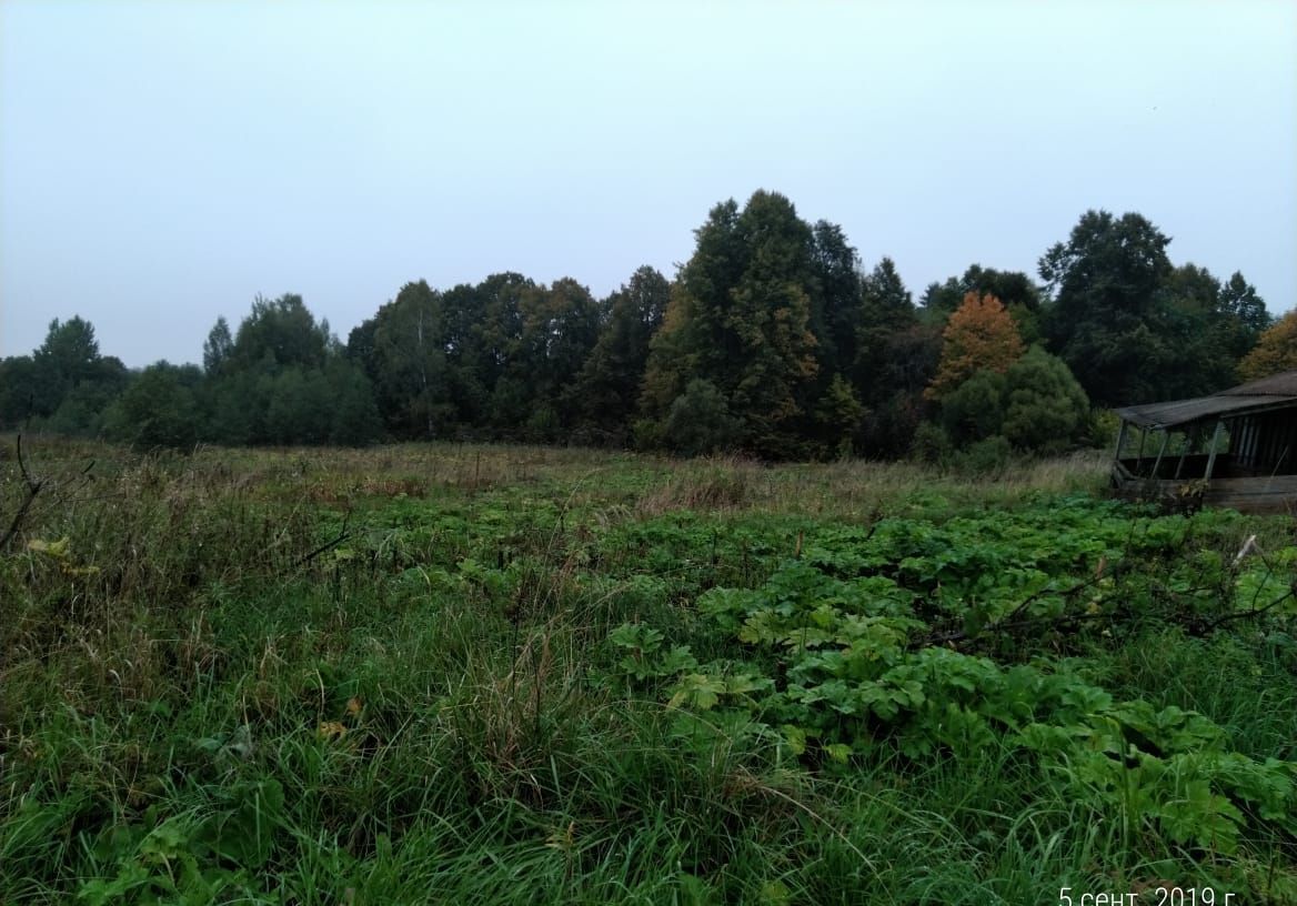 земля городской округ Рузский д Ерденьево 9817 км, 38, Руза, Минское шоссе фото 1