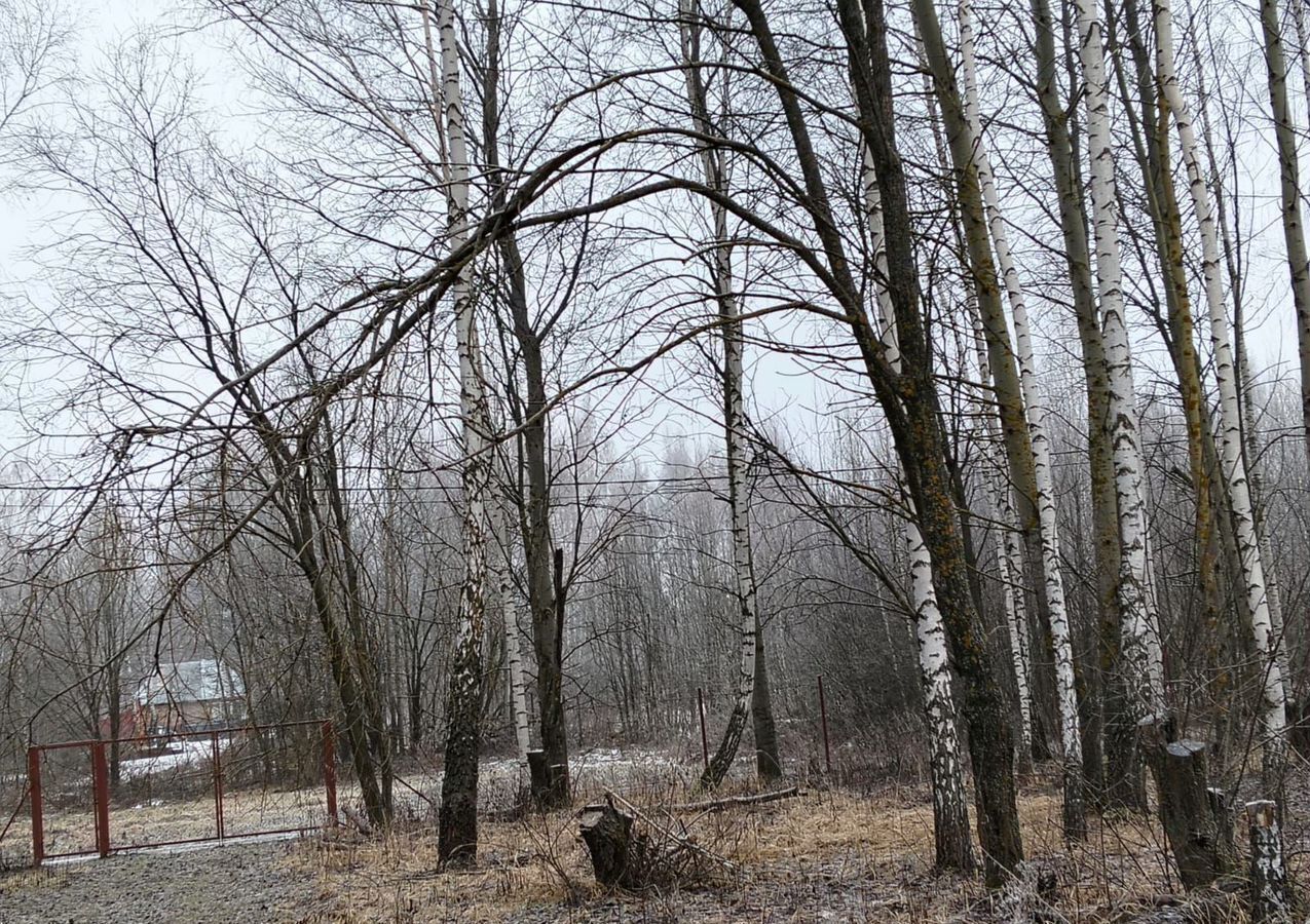 земля городской округ Серебряные Пруды д Красновские Выселки снт Лобаново 146 км, Серебряные Пруды, Каширское шоссе фото 2