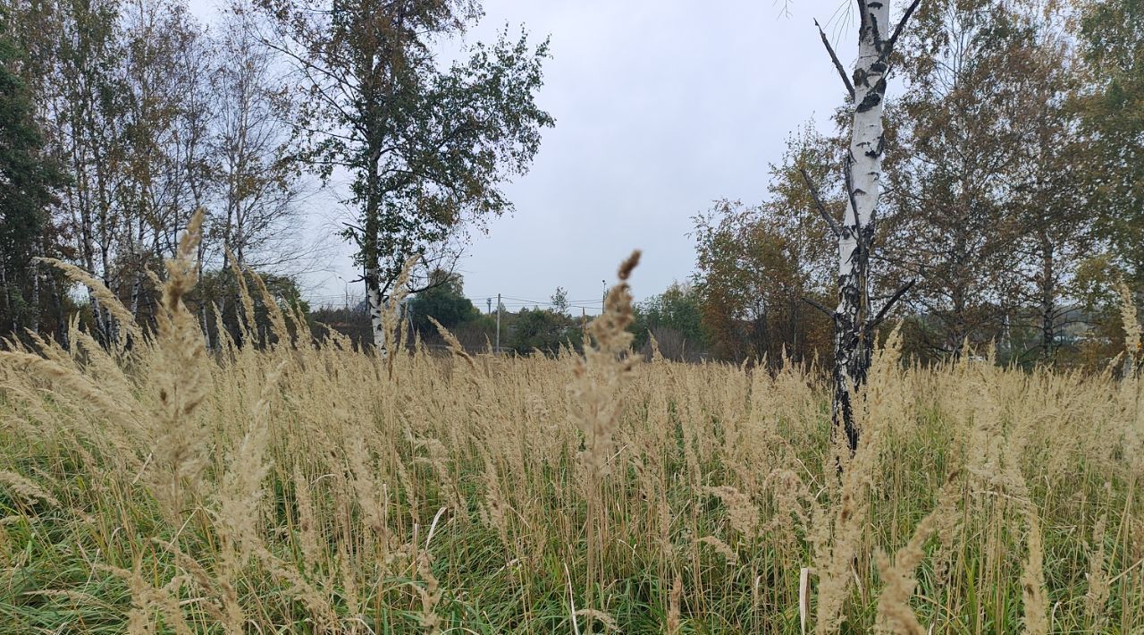 офис городской округ Раменский д Кулаково фото 2