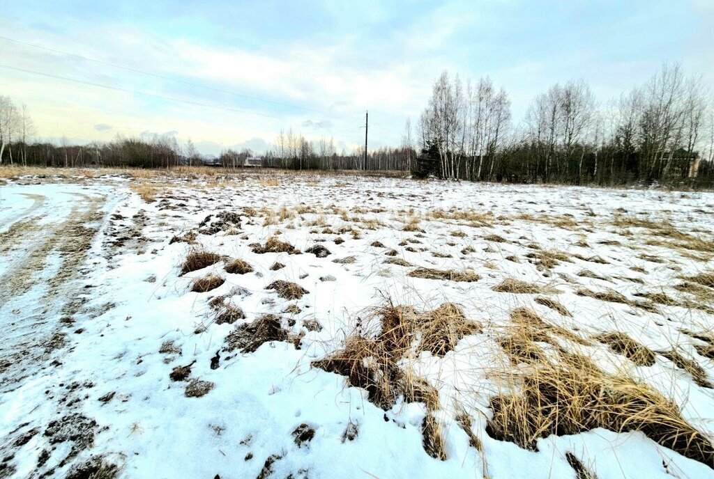 земля городской округ Воскресенск д Никольское Раменское фото 4