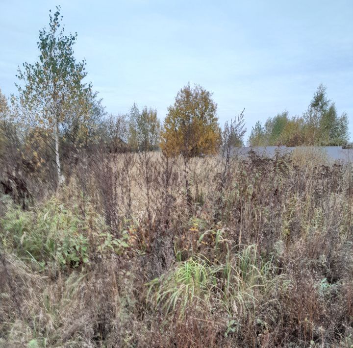 земля городской округ Раменский д Вишняково тер Чистые пруды 29 фото 3