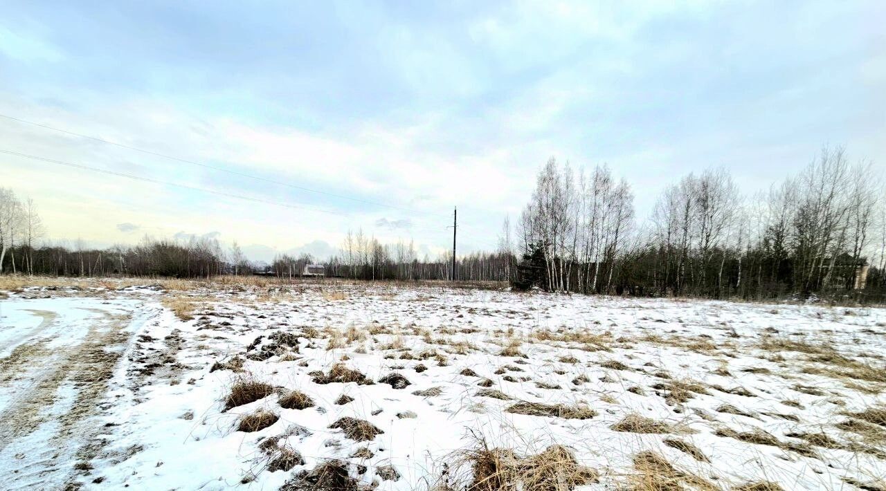 земля городской округ Воскресенск д Никольское фото 4