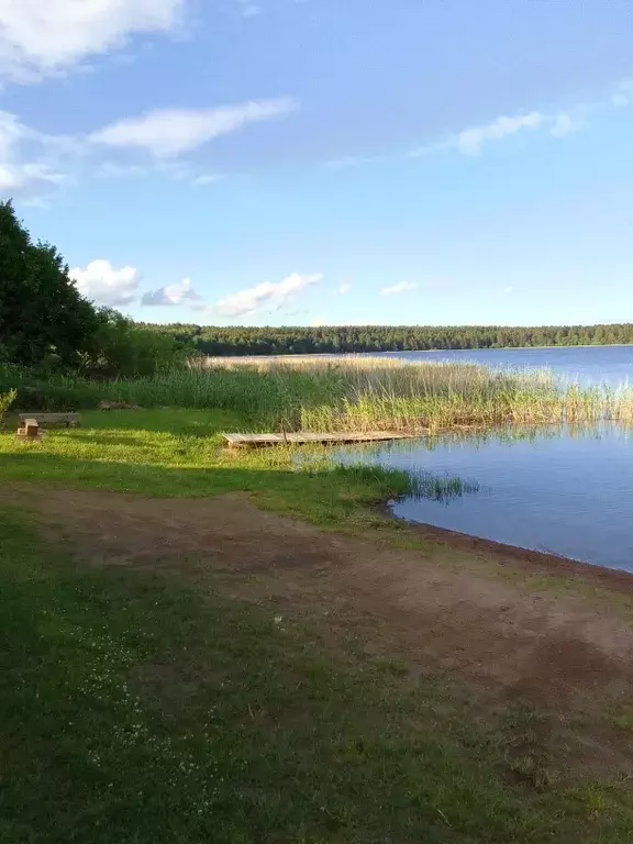 дом р-н Осташковский г Осташков д Задубье ул Береговая 9 Селигер фото 40