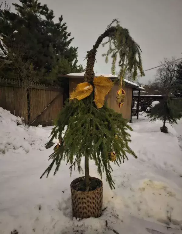 дом городской округ Одинцовский д Мамоново ул Вокзальная 108 фото 20