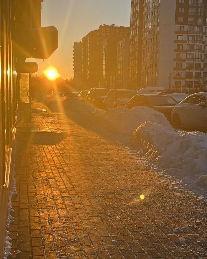 квартира г Москва п Сосенское метро Коммунарка метро Новохохловская ул Василия Ощепкова 6 Новомосковский административный округ, Московская область фото 29