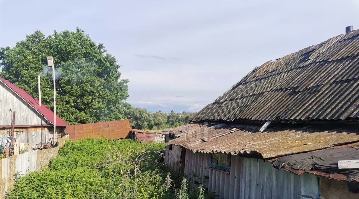 земля р-н Ишимбайский с Петровское ул Кооперативная 97 фото 3