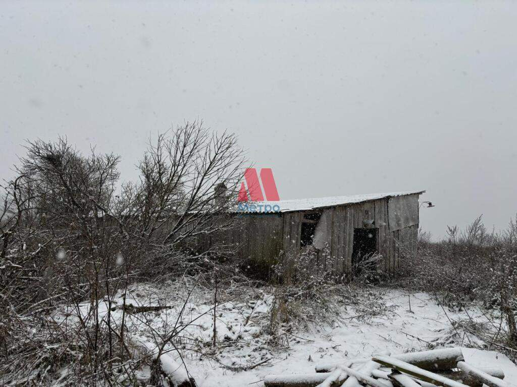 дом р-н Тутаевский д Дмитриевское д. 14 фото 4