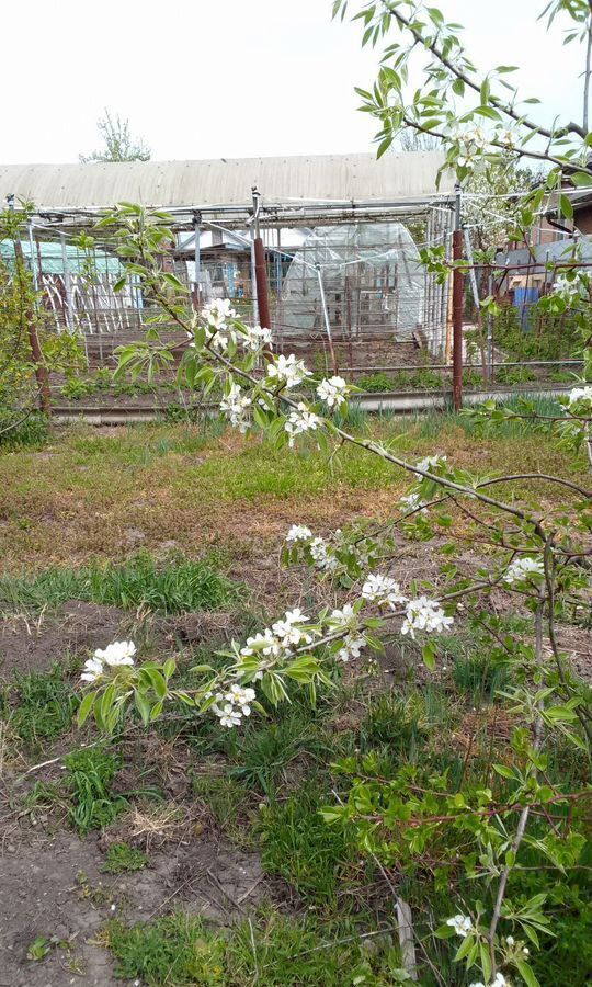 земля р-н Тихорецкий г Тихорецк ул Октябрьская Тихорецкое городское поселение фото 3