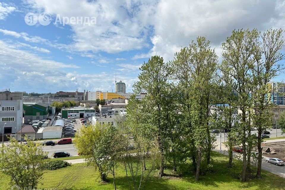 квартира г Санкт-Петербург пр-кт Полюстровский 75 Калининский фото 7