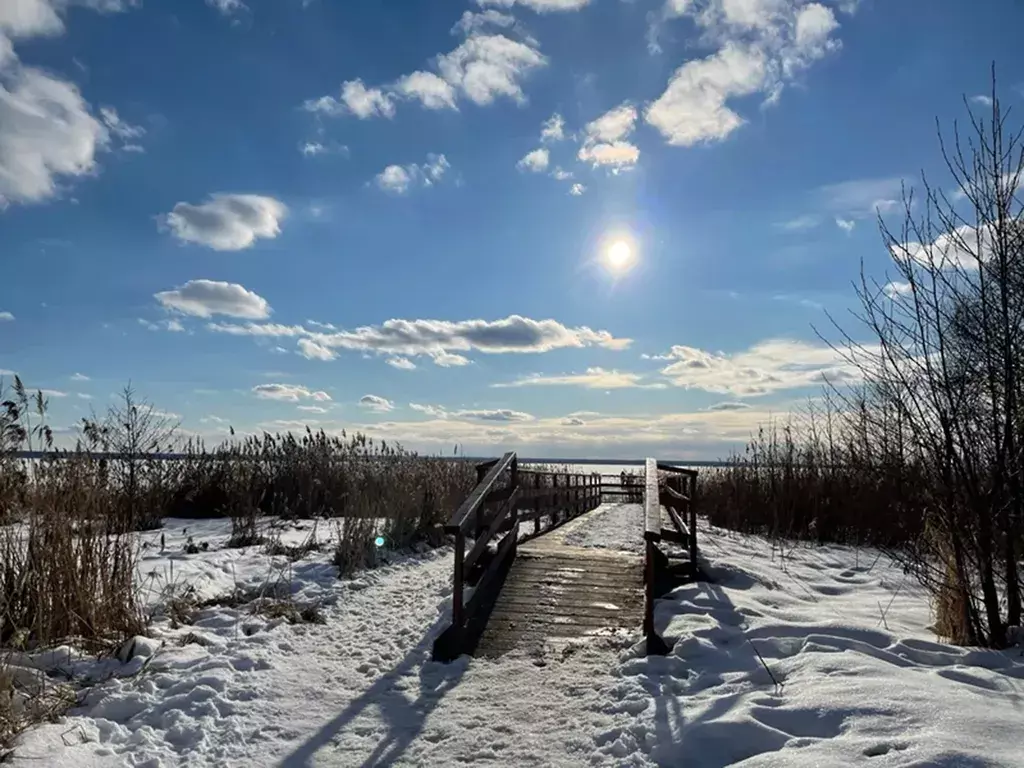 дом р-н Переславский с Городище пер Овражный 16а фото 23