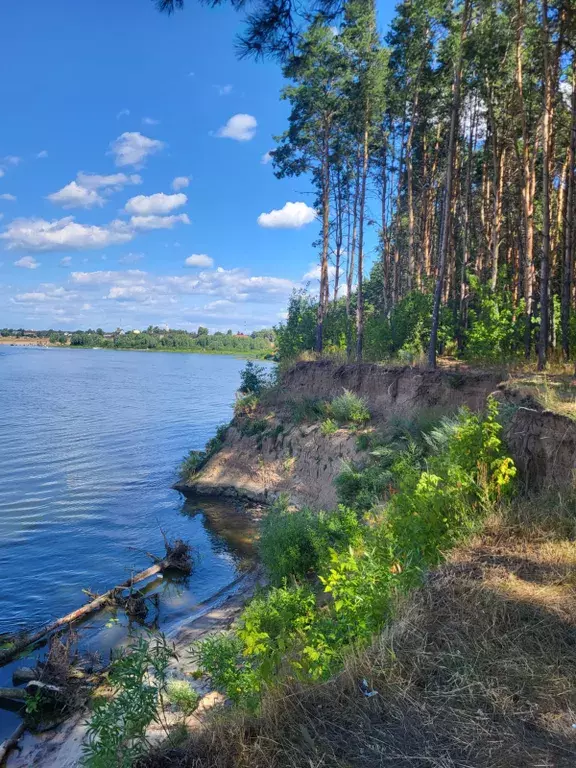 дом г Луховицы Tsvetkovo Village территория, 1-10 фото 23