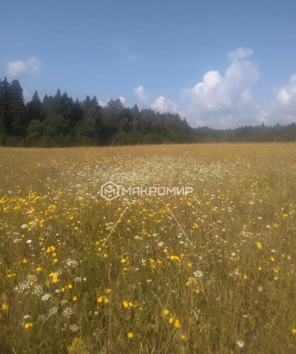 земля р-н Пермский с Хохловка фото 2