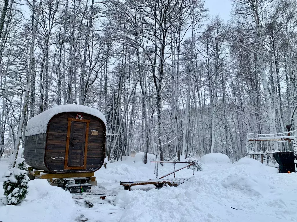 дом р-н Выборгский п Медянка ул Рыбацкая 20 фото 43