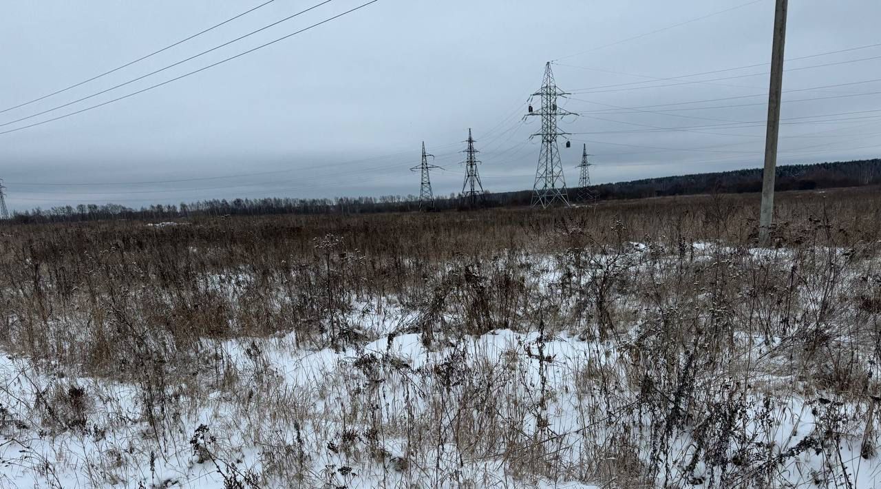 офис городской округ Богородский г Электроугли фото 2