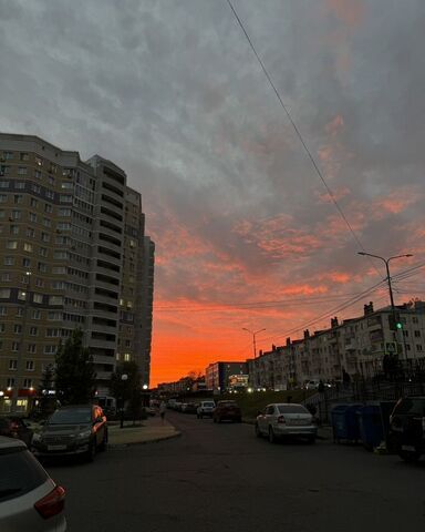 квартира р-н Московский ул Пирогова 1к/6 фото