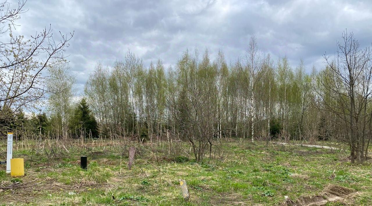 земля городской округ Наро-Фоминский Победа, Нара СТ фото 2