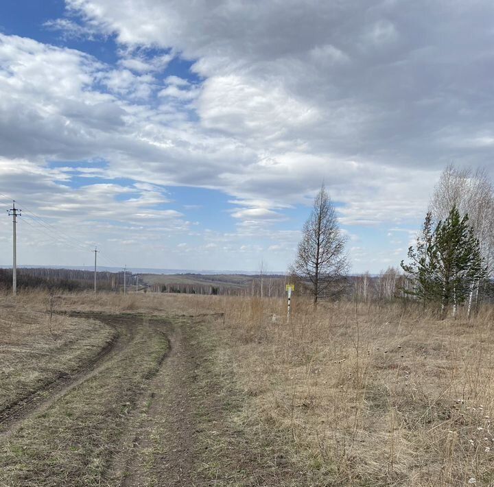 офис р-н Березовский с Вознесенка сельсовет, Вознесенский фото 4