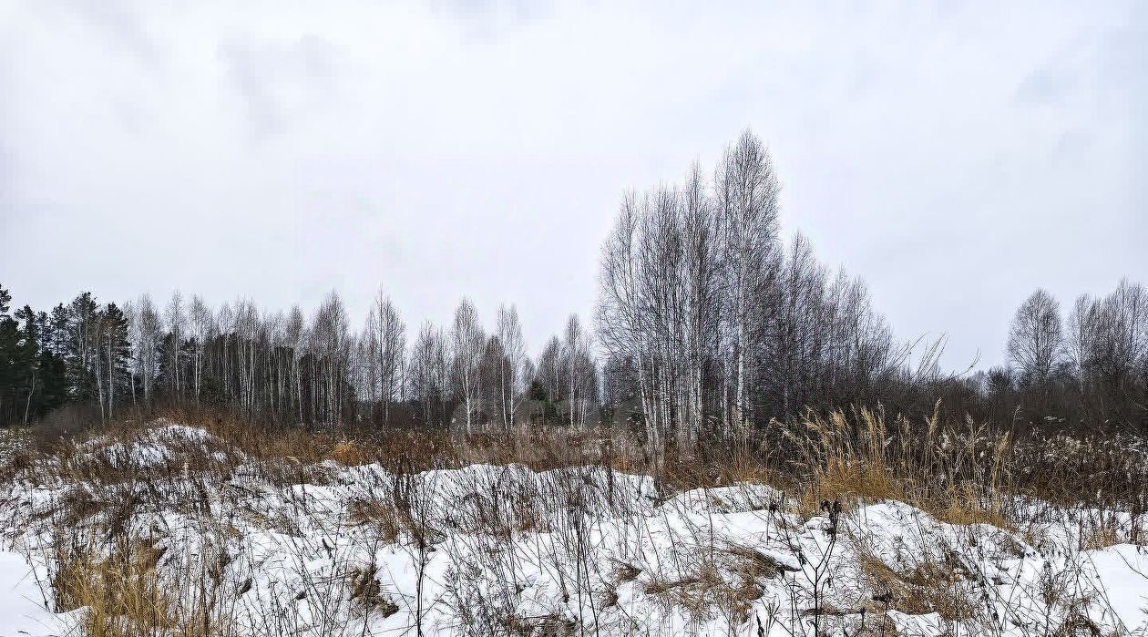 земля р-н Нижнетавдинский снт Березка фото 8