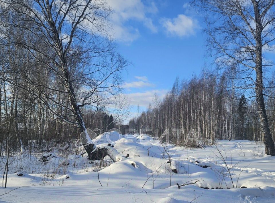 земля р-н Тюменский с Перевалово ул 8 Марта фото 4