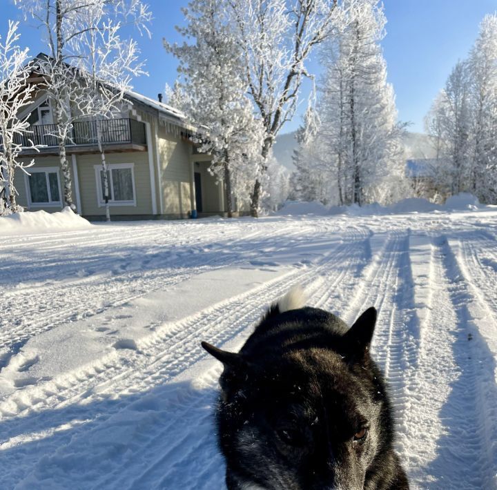 дом р-н Таштагольский пгт Шерегеш ул Кедровая 39а Шерегешское городское поселение фото 4