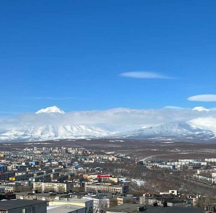 квартира г Петропавловск-Камчатский ул Автомобилистов фото 13