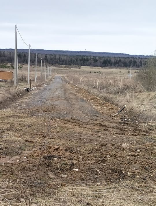 земля р-н Калининский д Володино фото 1