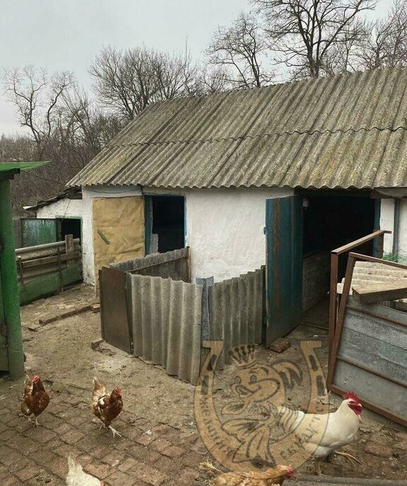 дом р-н Аксайский ст-ца Мишкинская ул Виноградная фото 14