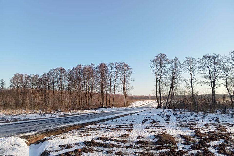 земля городской округ Раменский Софьино фото 1