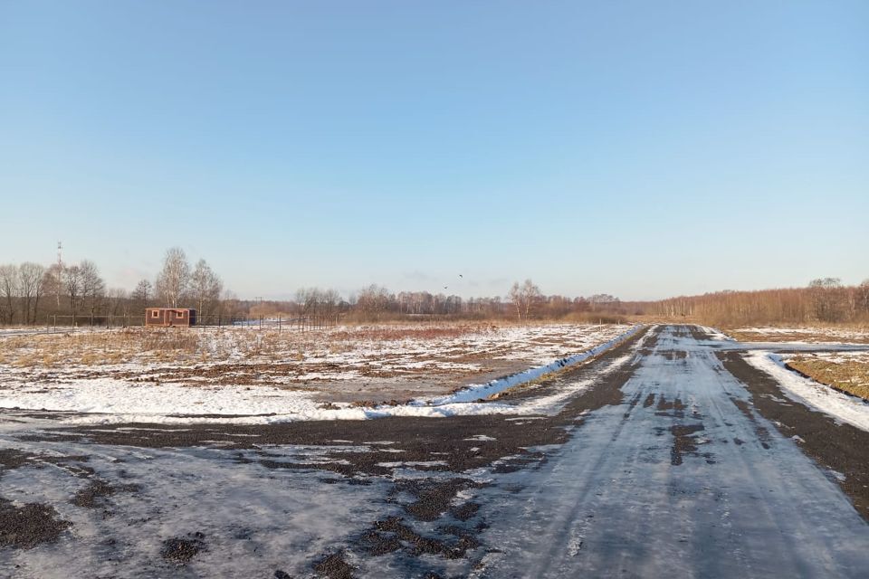 земля городской округ Раменский Софьино фото 1