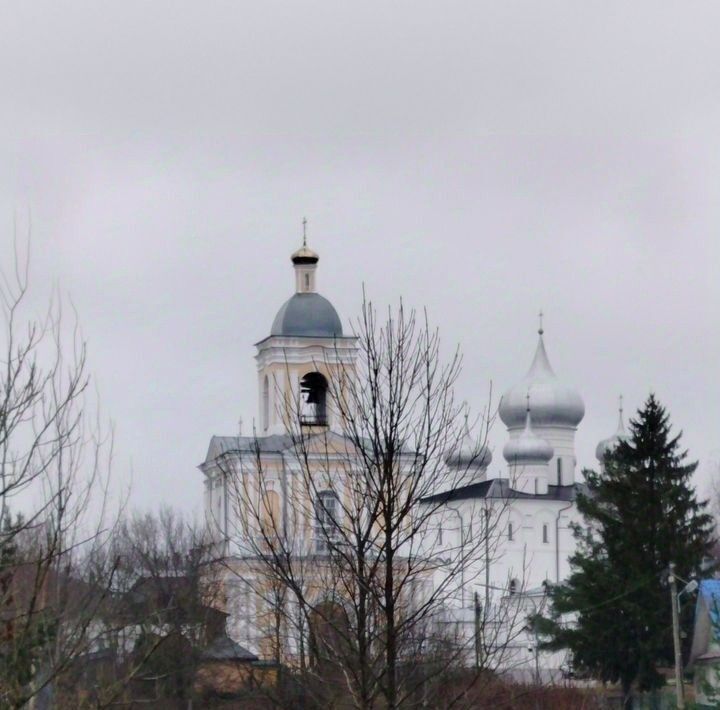 земля р-н Новгородский д Хутынь Савинское с/пос фото 3