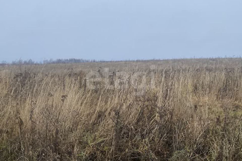 земля городской округ Дмитровский д. Кончинино фото 2