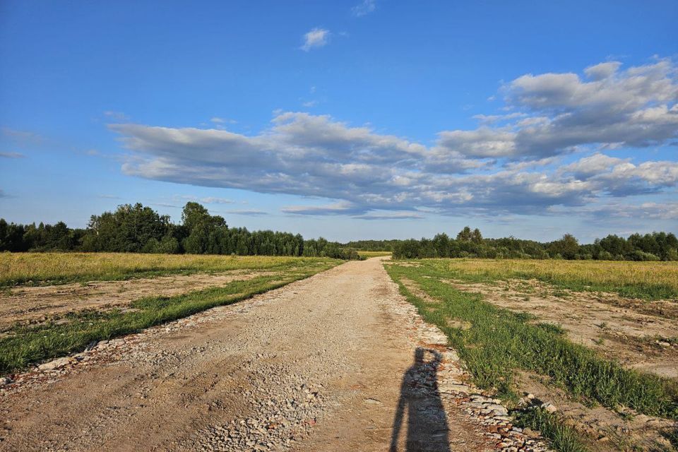 земля городской округ Раменский Софьино фото 2