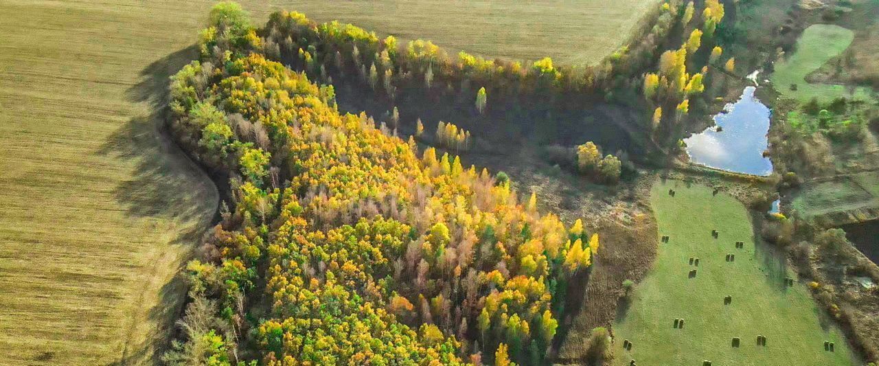 земля р-н Белгородский с Черемошное Яснозоренское с/пос фото 1