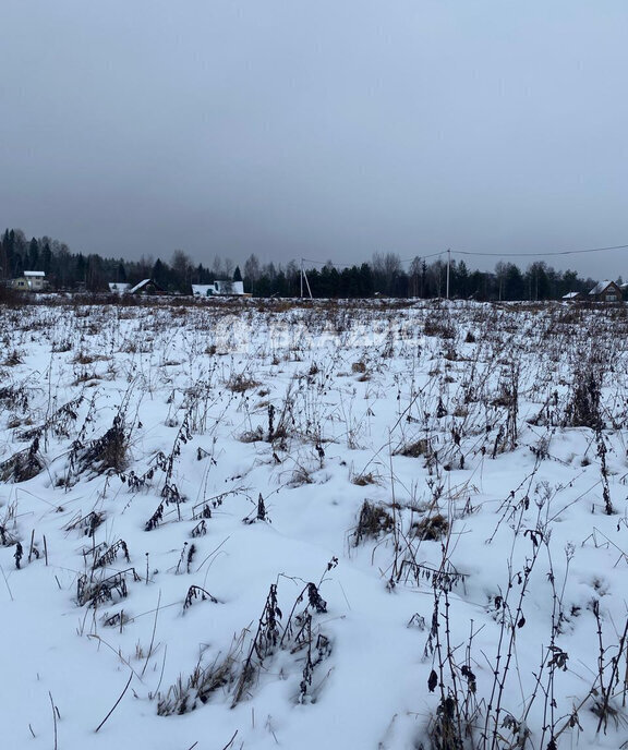 земля р-н Вологодский п Сосновка тер. ДНТ Удачное фото 2