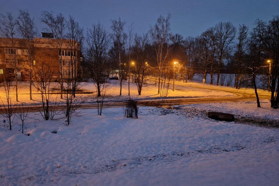 квартира г Павловск ул Пионерская Пушкинский, 2а ст 1 фото 10