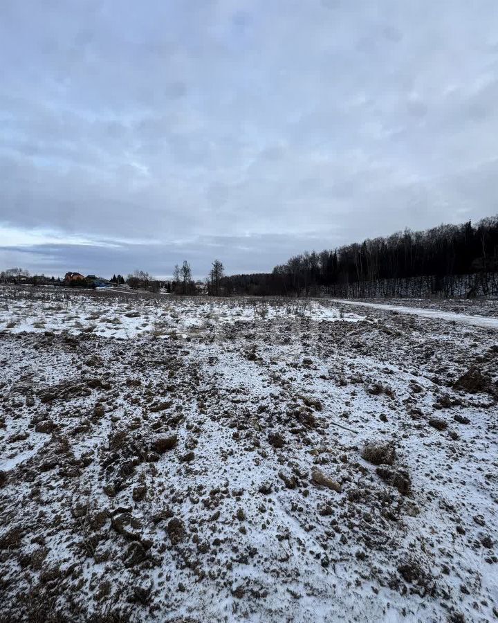 земля городской округ Подольск 24 км, д. Пузиково, Симферопольское шоссе фото 1