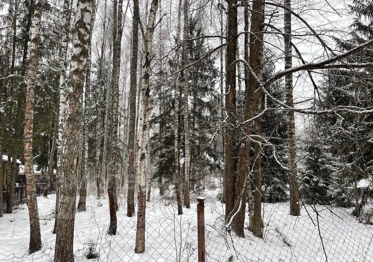 земля городской округ Истра д Кашино тер ДНТ Инициатива 32 км, Истра, Волоколамское шоссе фото 4