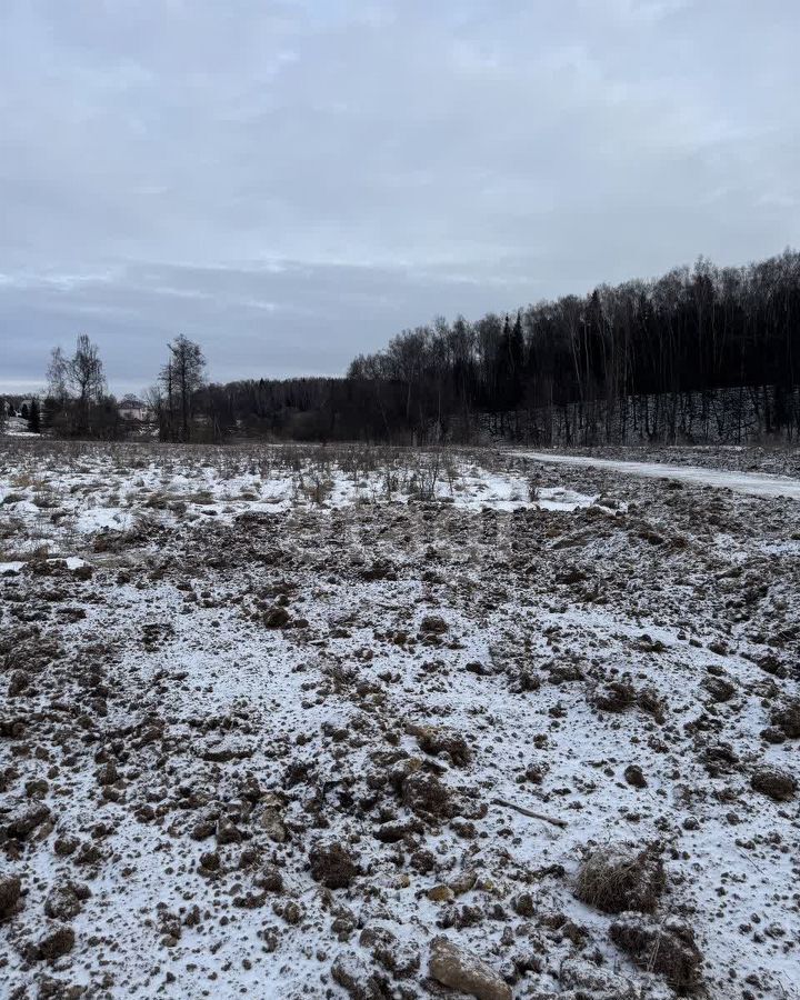 земля городской округ Подольск 24 км, д. Пузиково, Симферопольское шоссе фото 4