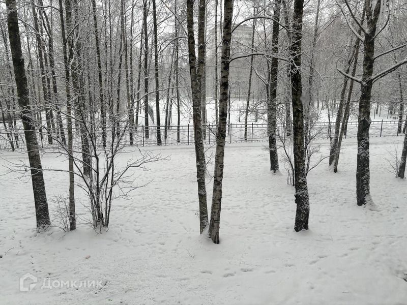 квартира г Санкт-Петербург ул Ушинского 23/1 Калининский фото 7