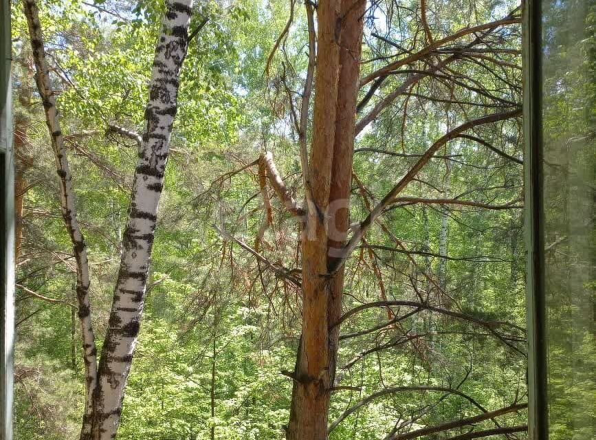 квартира г Новосибирск р-н Советский ул Академическая 36 Новосибирск городской округ фото 4