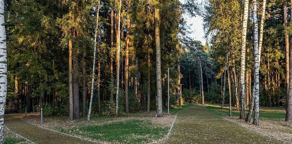 земля городской округ Одинцовский д Дарьино Новое Николино тер., Одинцово, ул. Парковая фото 1