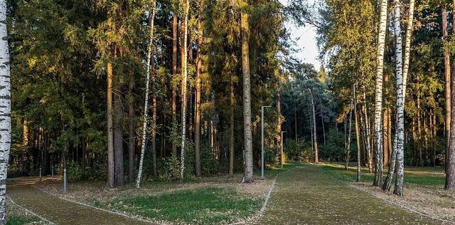 земля д Дарьино Новое Николино тер., Одинцово, ул. Парковая фото