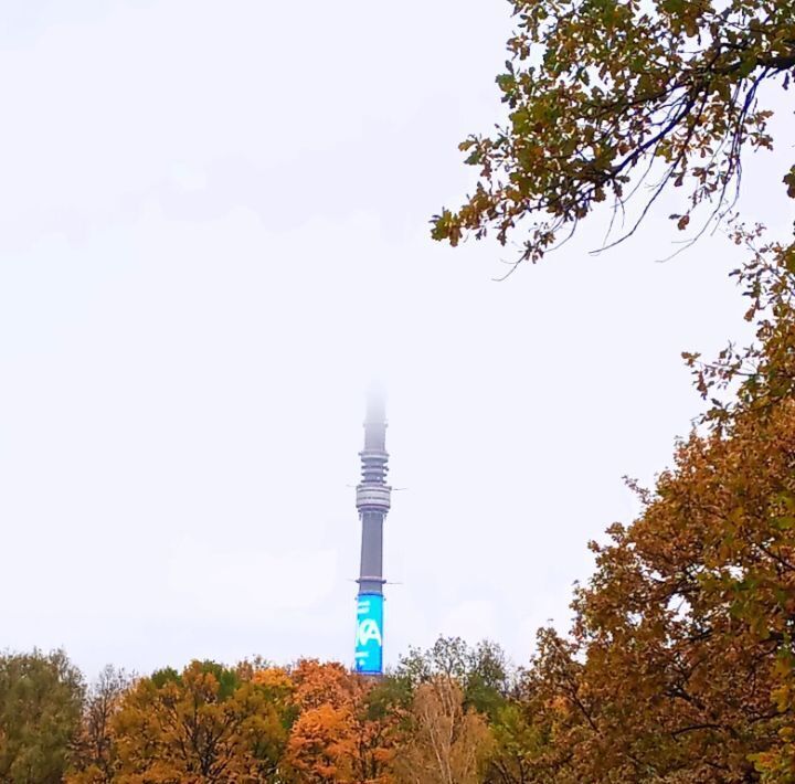 квартира г Москва метро ВДНХ ул Академика Королева 9к/4 муниципальный округ Останкинский фото 21